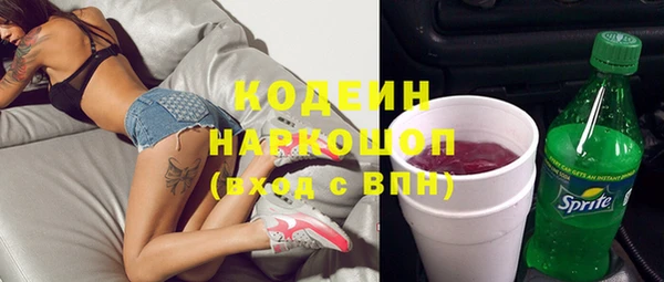 прущие грибы Алзамай