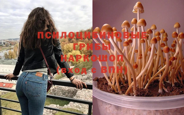 первитин Абинск