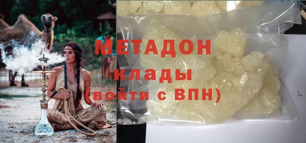 прущие грибы Алзамай