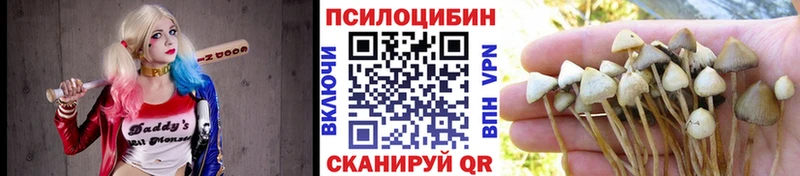 mega сайт Мостовской Галлюциногенные грибы мухоморы