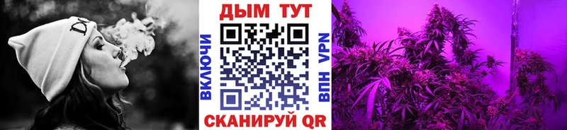 Каннабис OG Kush  Мостовской 